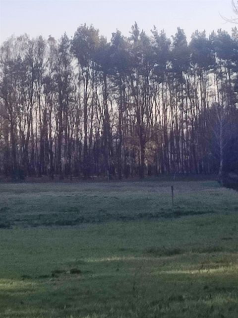 Pusta działka Krasiejów