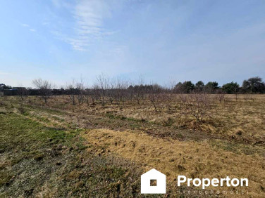 Działka Stare Załubice