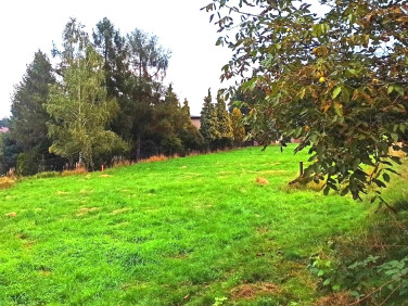 Działka budowlana Rybnik