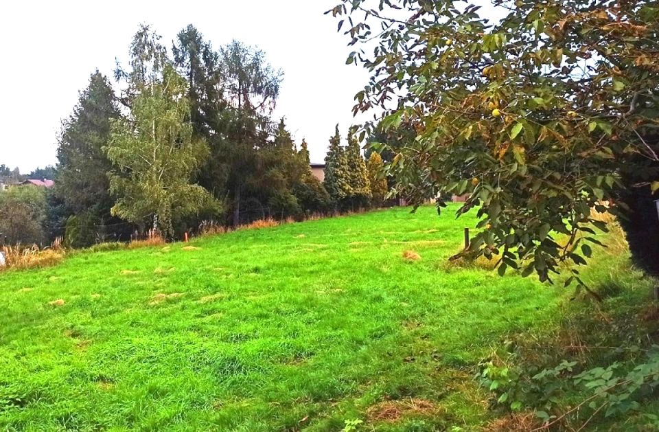 Działka budowlana Rybnik