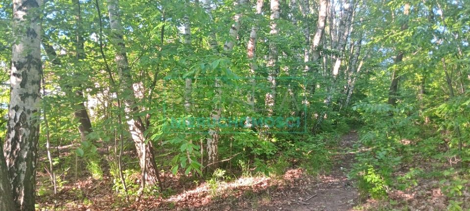 Działka rekreacyjna Książenice sprzedam