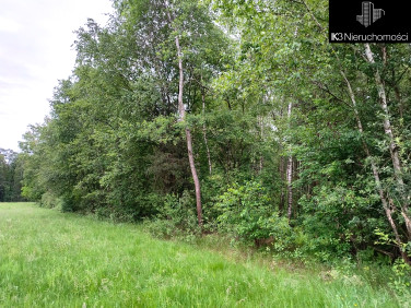 Działka leśna Starawieś