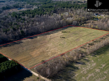 Działka siedliskowa Twarogi