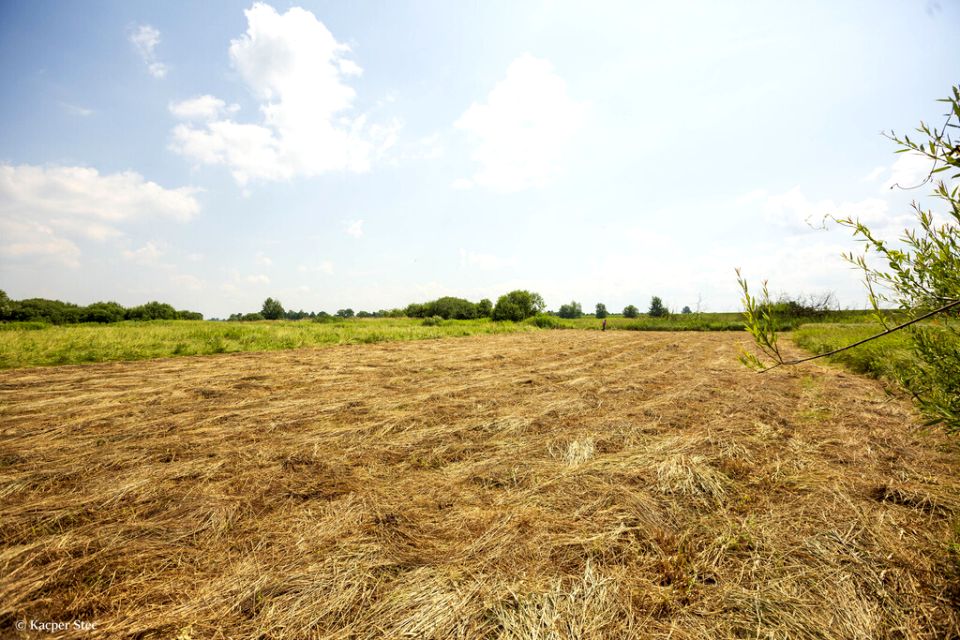 Działka rolna Zaborów