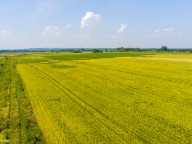 Działka rolna Szczurowa