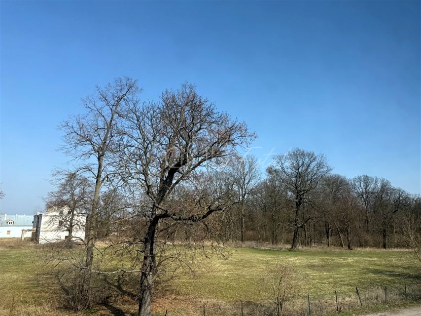 Mieszkanie Pawłowice sprzedaż