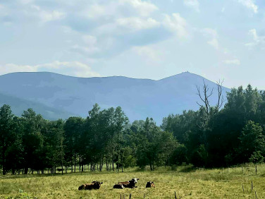 Działka budowlana Kostrzyca
