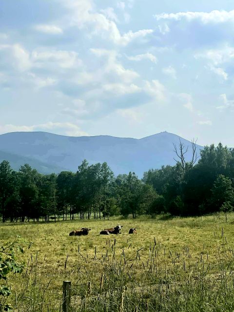 Działka budowlana Kostrzyca