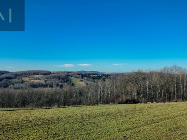 Działka rolna Niewodna