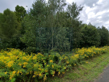 Działka Częstochowa