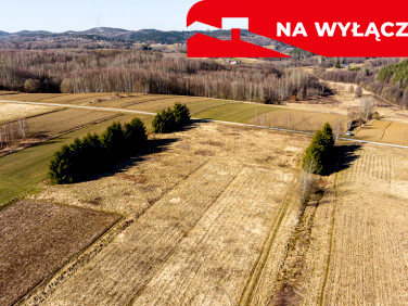 Działka budowlano-rolna Ołpiny