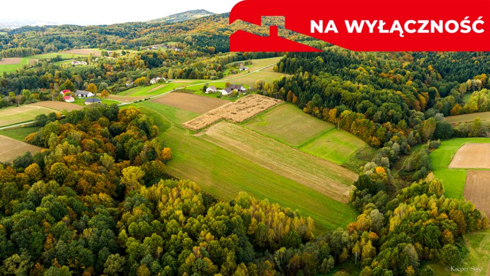 Działka LICHWIN