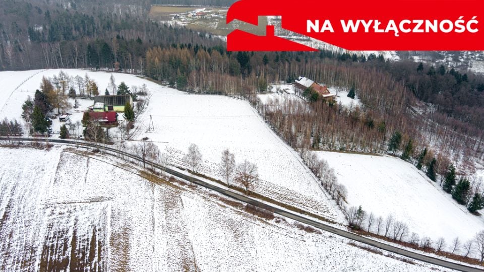 Zdjęcie 2