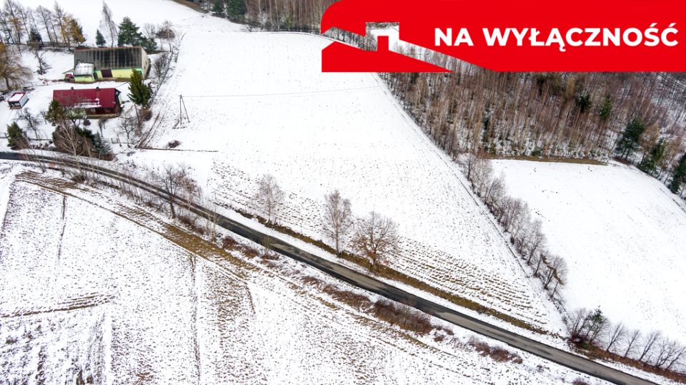 Zdjęcie 3