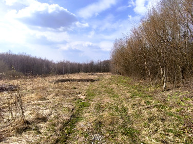 Działka budowlano-rolna Malawa