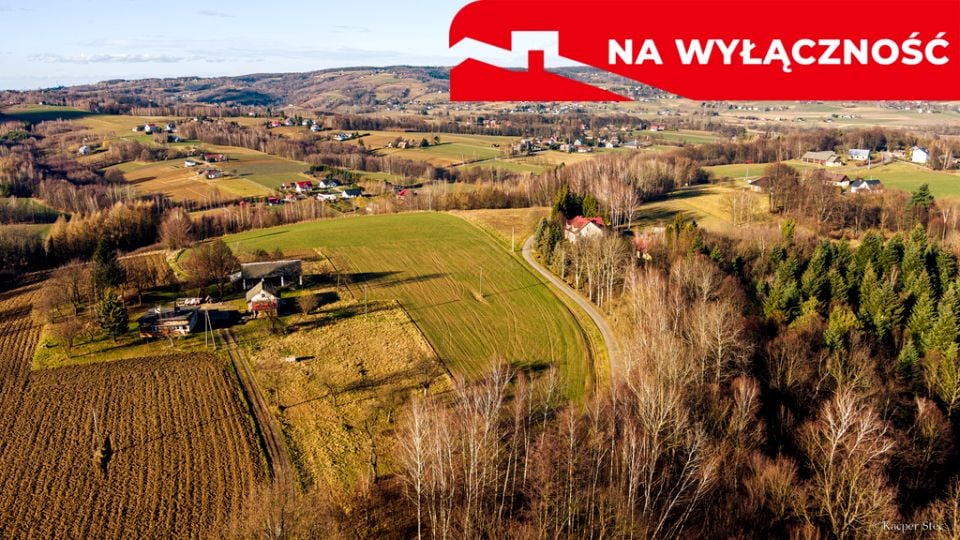Zdjęcie 3