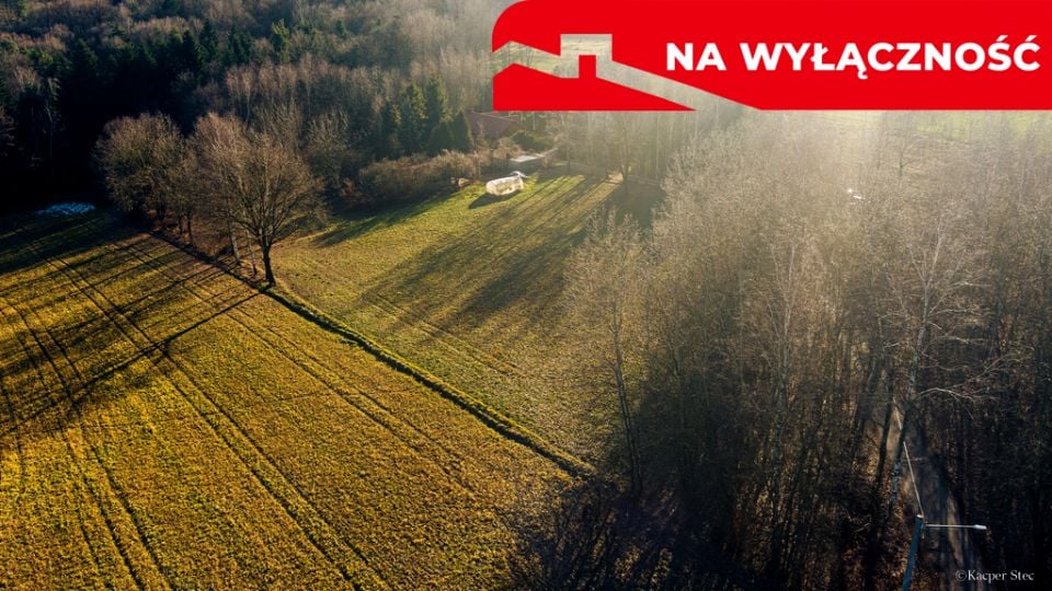 Zdjęcie 2