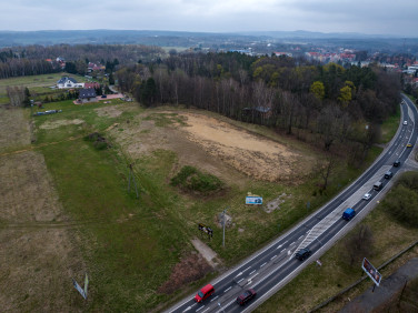 Działka budowlana Gryfów Śląski