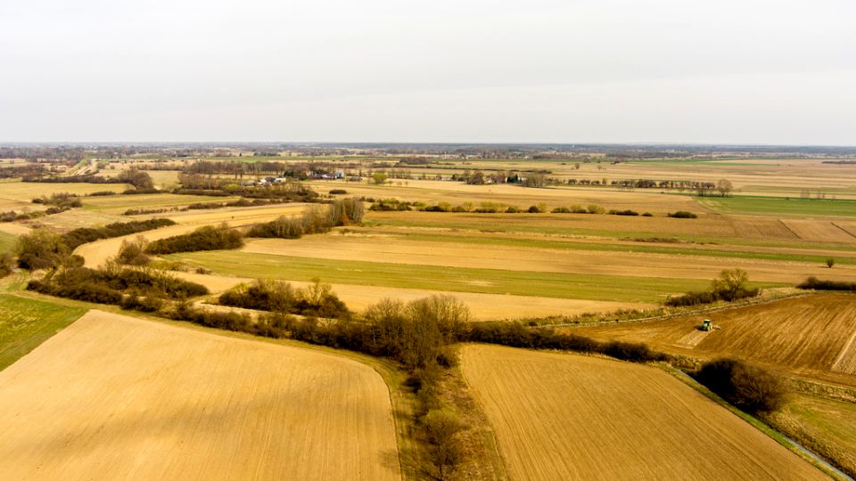 Działka rolna Rząchowa