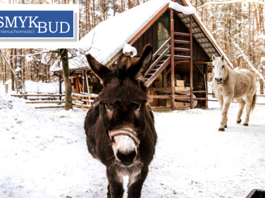 Dom Lipowo Kurkowskie