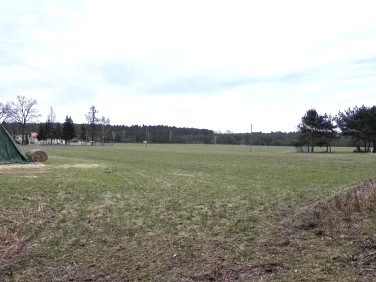 Działka budowlana Nowe Załubice