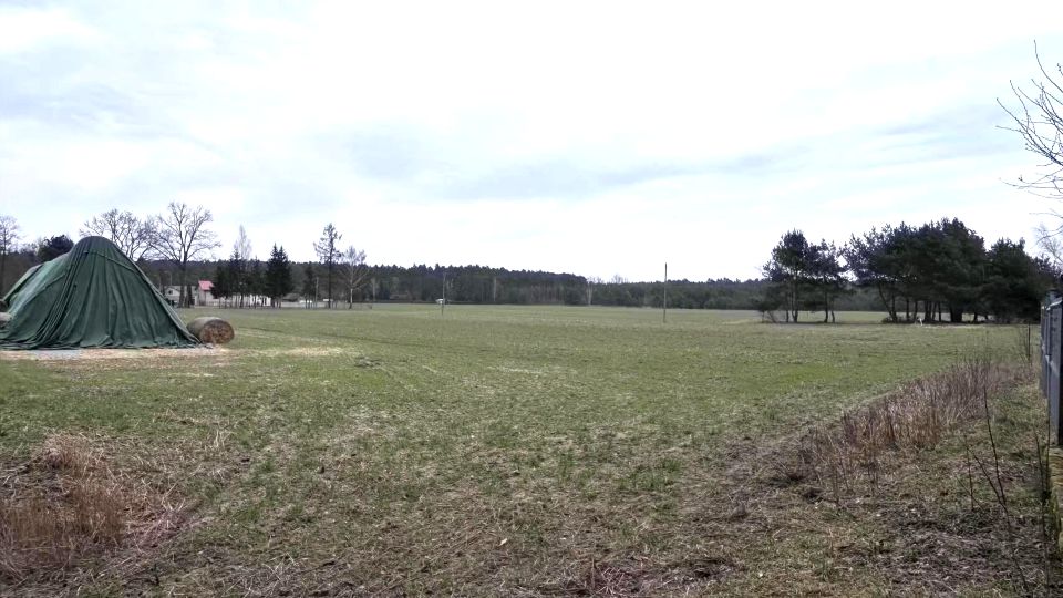 Działka budowlana Nowe Załubice