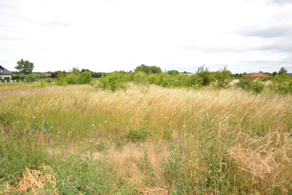 Działka rolna Wąwelnica