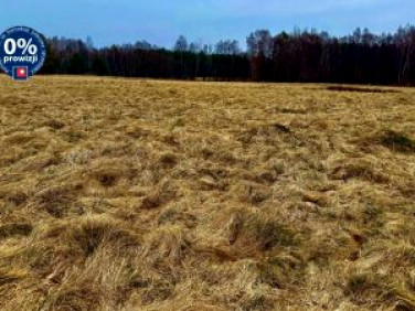 Działka rekreacyjna Machowinko