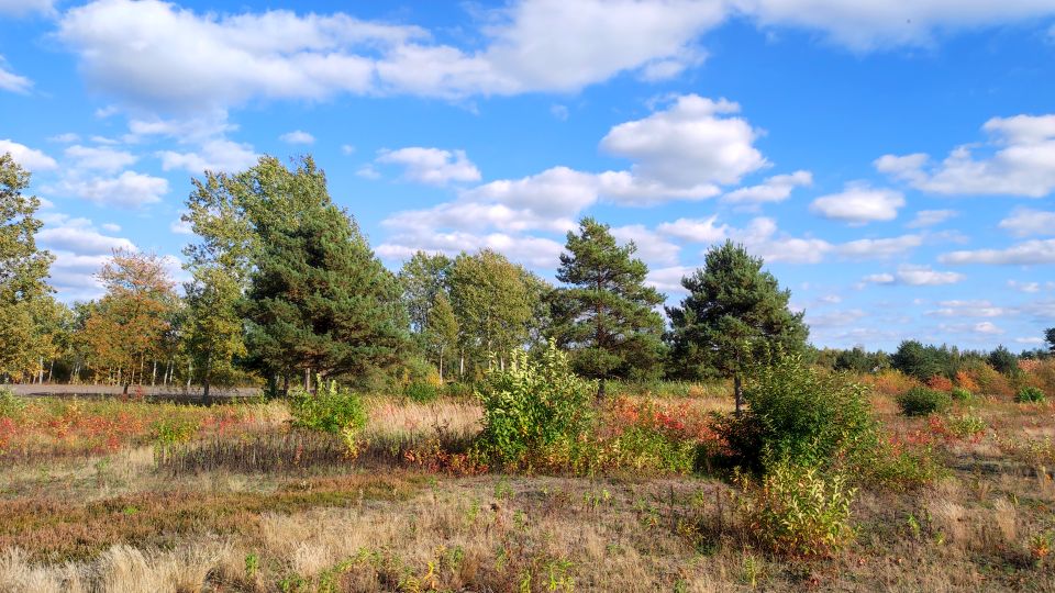 Działka budowlana Krzaki Czaplinkowskie