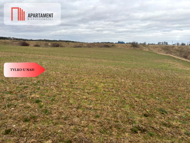 Działka Liniewskie Góry