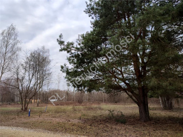 Działka budowlana Radonie sprzedam