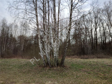 Działka budowlana Radonie