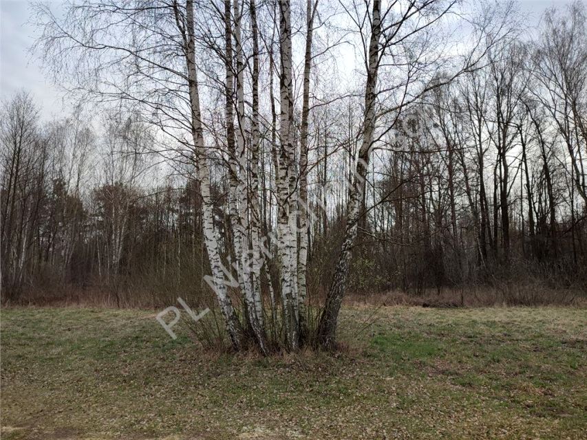 Działka budowlana Radonie