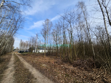 Działka budowlana Szczęsne