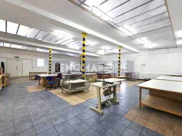 Lokal Chełmsko Śląskie