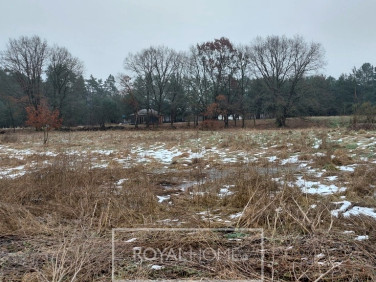 Działka budowlana Dzisna