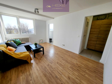 Mieszkanie Pabianice