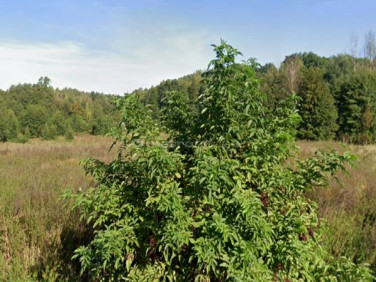 Działka rolna charz