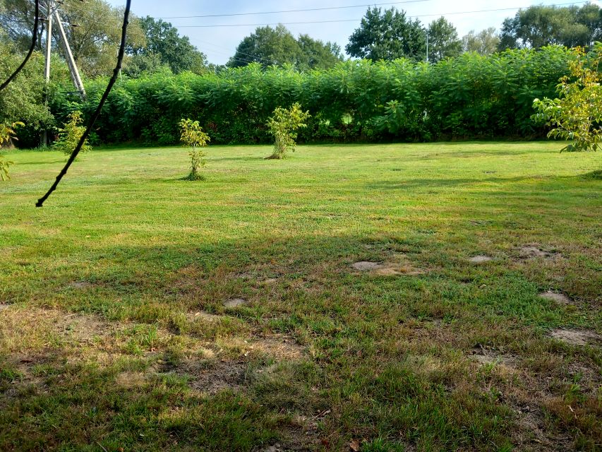 Działka rekreacyjna Jastrzębie-Zdrój