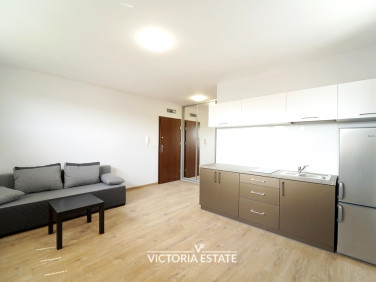 Mieszkanie Kraków wynajem