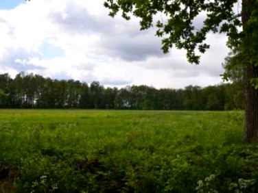 Działka budowlana sprzedam