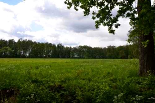 Działka budowlana sprzedam