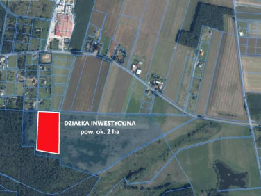 Działka budowlana Charzyno