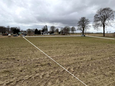 Działka budowlana Białokury