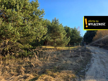 Działka rekreacyjna Życiny