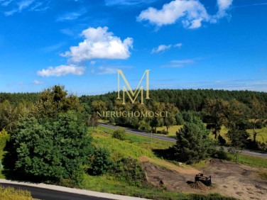 Działka inwestycyjna Paliwodzizna
