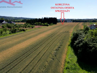 Działka budowlana Korczyna