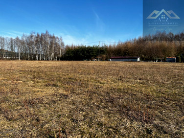 Działka budowlano-rolna Biadoliny Radłowskie