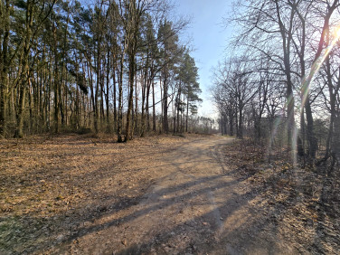 Działka Oborniki Śląskie