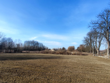 Działka budowlana Kaleń-Towarzystwo